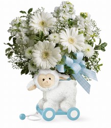 Sweet Little Lamb - Baby Blue Cottage Florist Lakeland Fl 33813 Premium Flowers lakeland